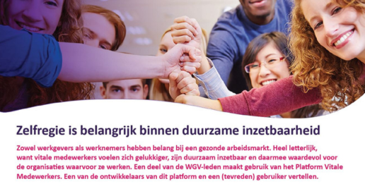 publicatie cover Zelfregie binnen DI